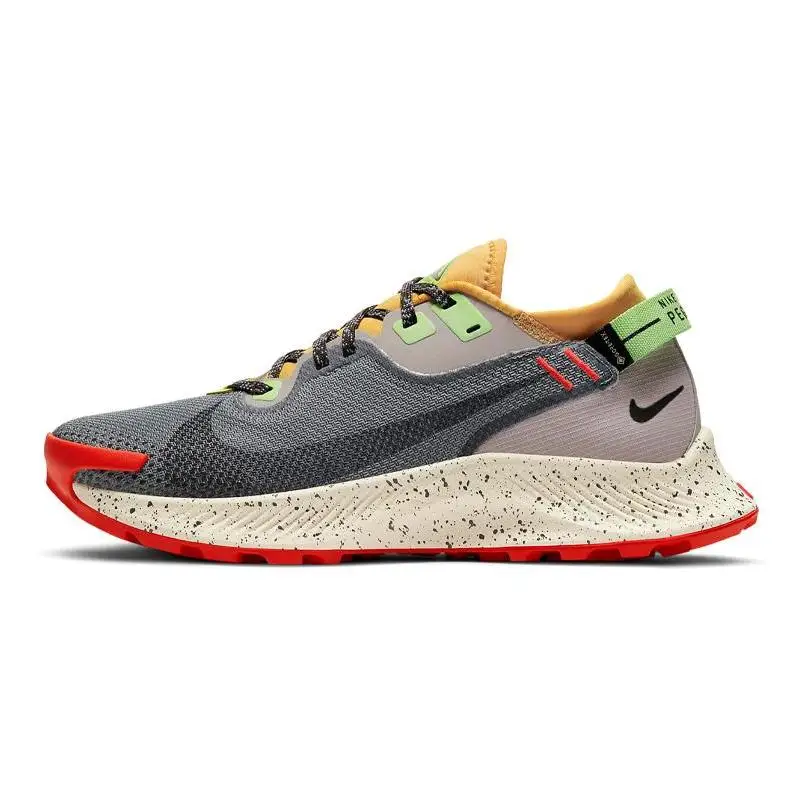 Nike Nike Pegasus Trail 2 Gore-Tex Smoke Grey Bucktan Women's Sneakers shoes CU2018-002