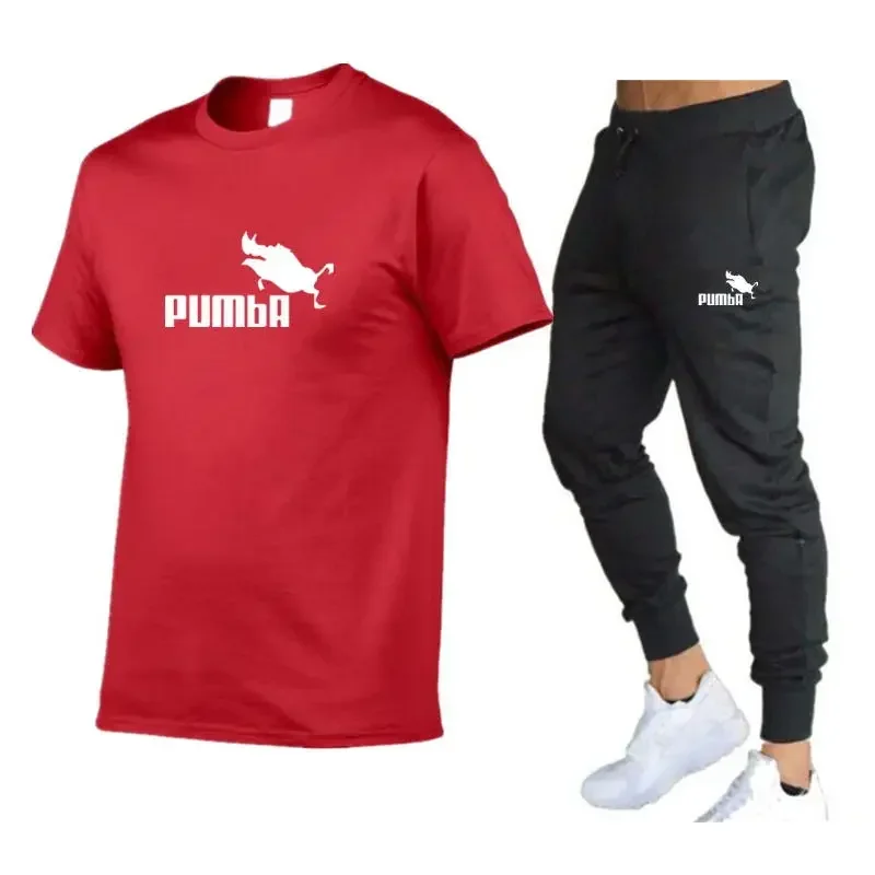 Fato de treino casual masculino, calça esportiva e camiseta, conjunto de roupas esportivas, verão, S a 2XL, 2 peças