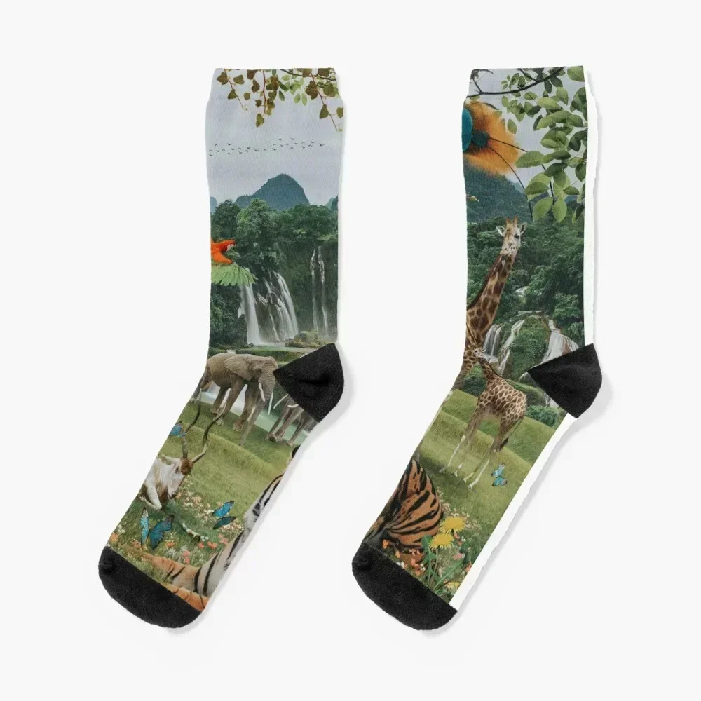 

NEW WORLD Socks cotton with print winter Stockings man Men Socks Luxury Brand Women's