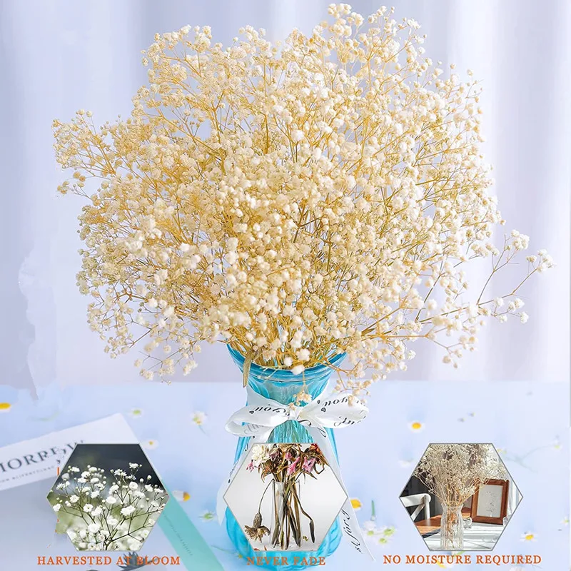 

Immortal Gypsophila Natural Dried Flowers For Wedding Home Decor Christmas Wreath Accessories Flores Artificiales