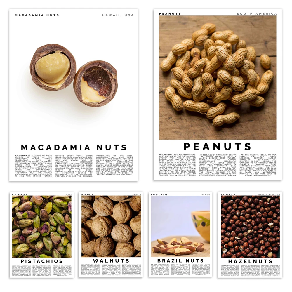 Pecan, brazil nut, peanut, walnut, macadamia, almond, hazelnut, pistachio, hazelnut, nut typographic poster decoration gift