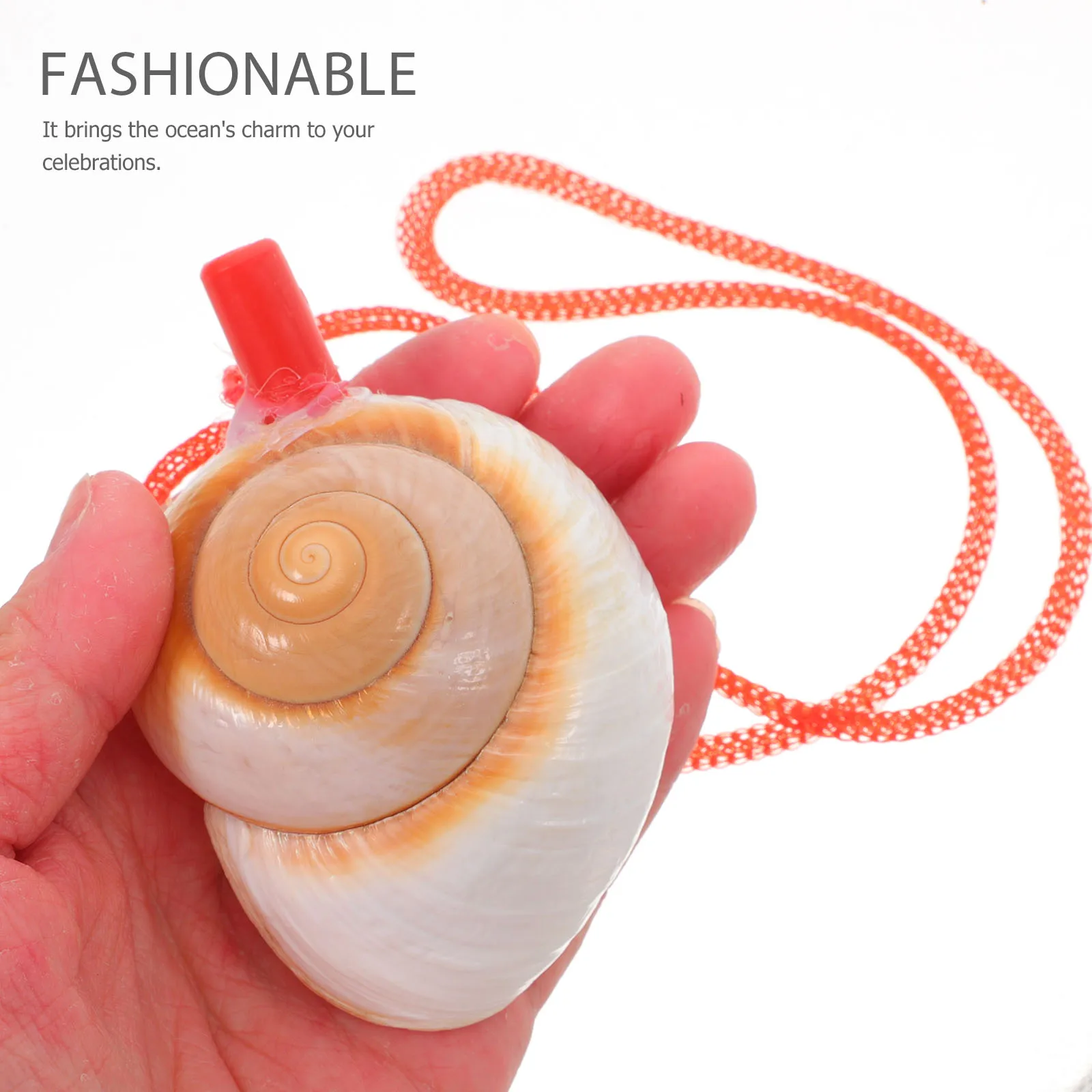 

Conch Angle Shell Horn Decorative Shells Birthday Party Favors Large with Whistle Creative