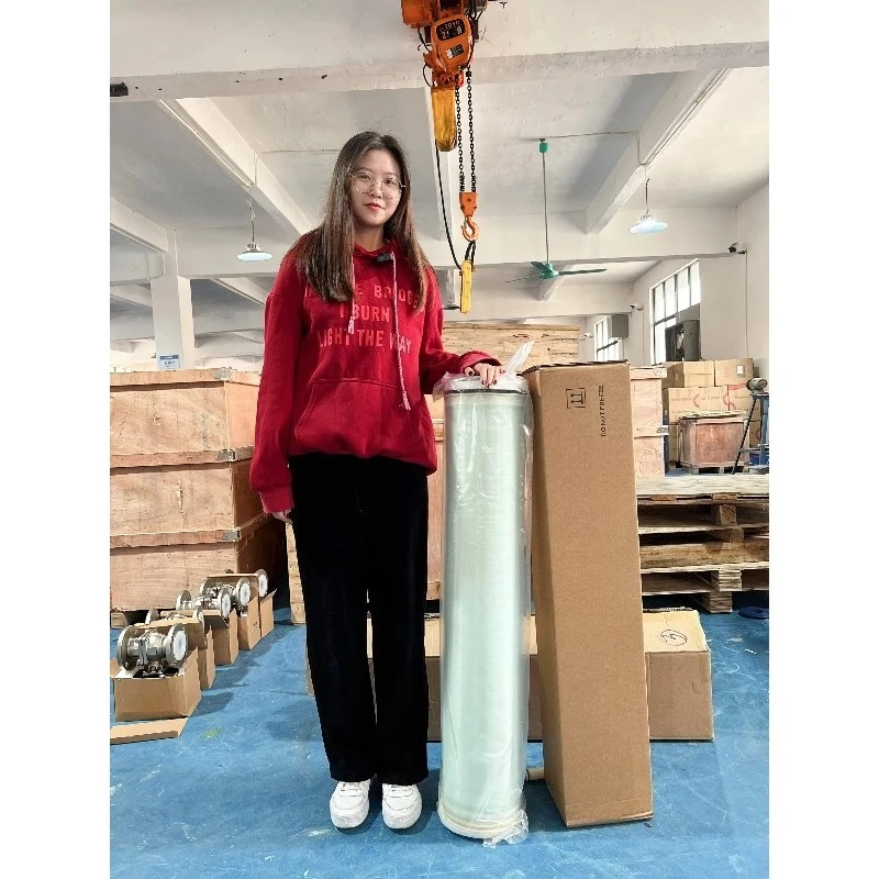 Water Treatment Plant RO Membrane (Cellulose Acetate) Filter Cartridge Pressure Vessel Filtration 1000L/Hour Reverse