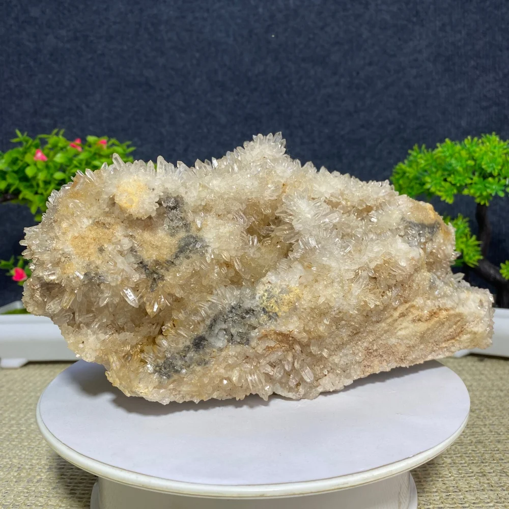 Natural Chrysanthemum Crystal Clear Quartz Gemstone White Healing Mineral Sample for Home Decor