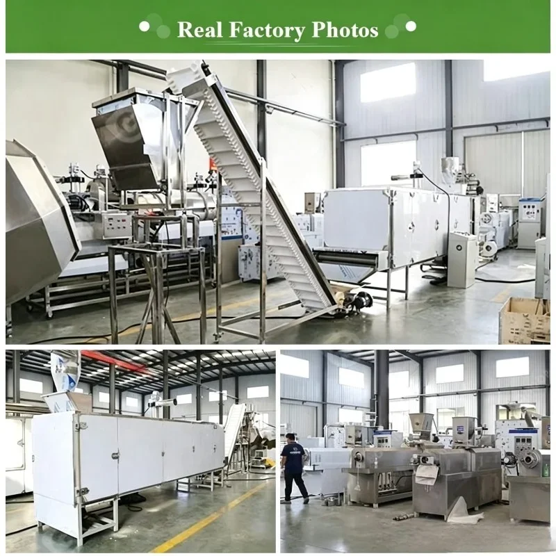 Customized High Efficiency Industrial Electric Corn Spaghetti Maker Machine Macaroni Pasta Extrusion Production Line