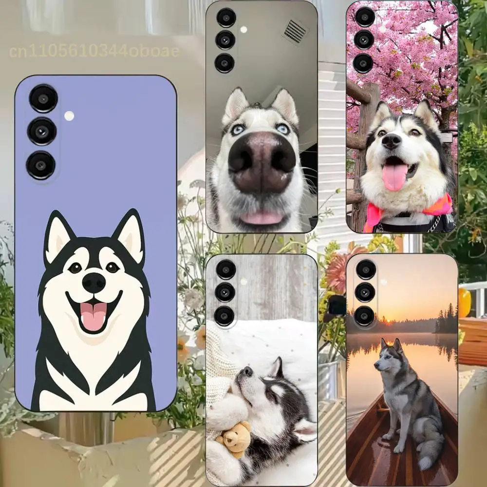 

Cute Husky Phone Case For Samsung S25,24,21,22,23,20,S30,Ultra,Plus,Fe,Lite,Note,5G Black Cover