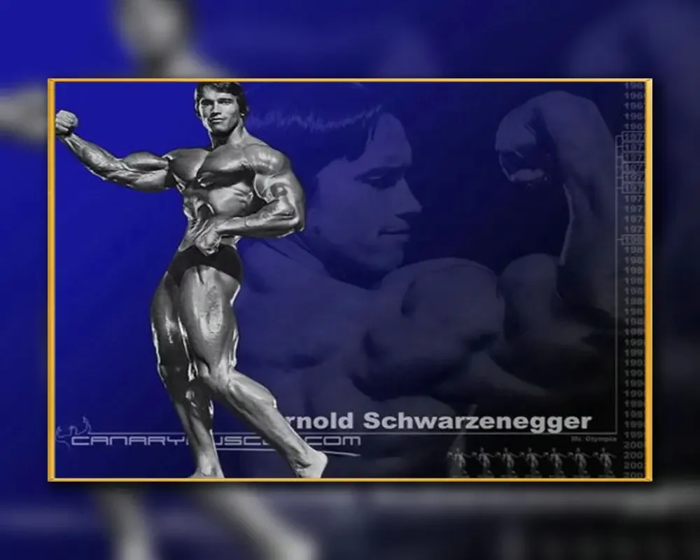 A53 Silk Poster Home Decoration Arnold Schwarzenegger Bodybuilding Strong Muscle Wall Art Christmas Gift