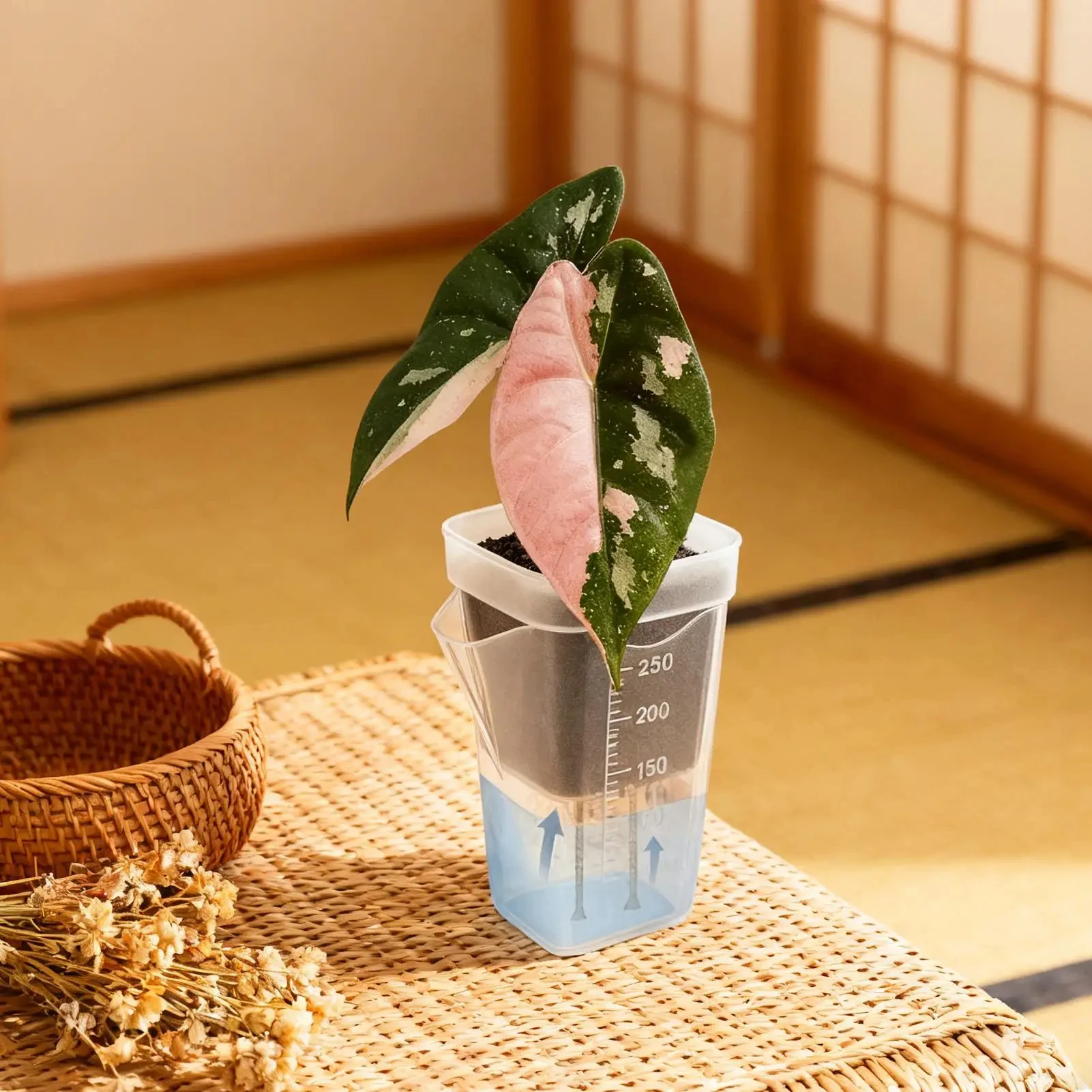 15 Stück Selbstbewässernde Pflanzentöpfe Mini-Setzlingstöpfe Blumentopf Durchsichtige Kunststoff-Pflanzgefäße Pflanzenvermehrungstopf mit Reservoir – Detail 2