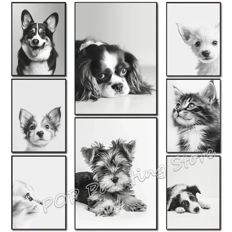 Cute Puppy Kitten Yorkie Shepherd Corgi Animals Dog Breed Canvas Wall Art Print Black White Pet Portrait Poster Pet Shop Decor