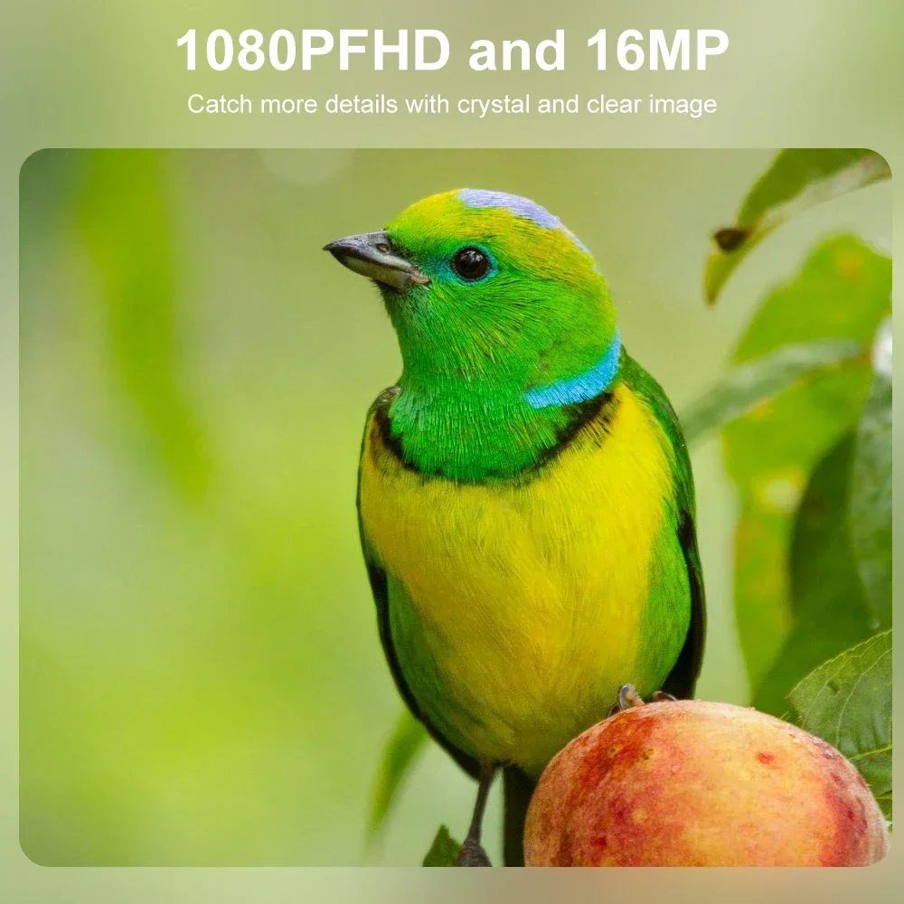 Mini HD Hunting Camera with 940nm Infrared Night Vision, Waterproof Trail Camera for Wildlife Monitoring and Scouting