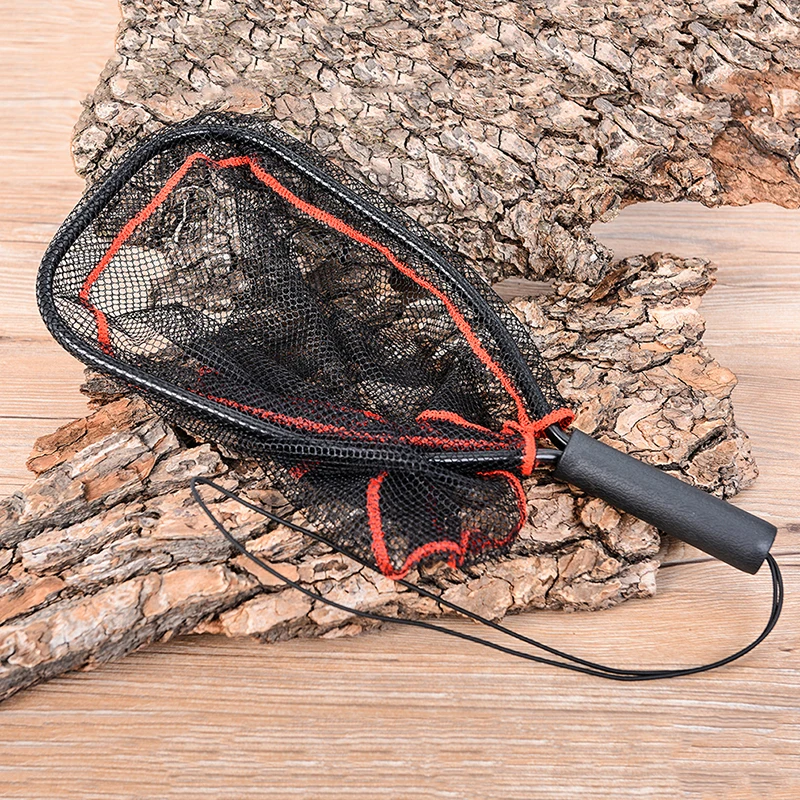 Imagem -01 - Rede de Pesca Retrátil para Pesca com Mosca Liga de Alumínio Telescópica Dobrável Landing Net Pole Dobrável Landing Net 80cm rede de pesca retratil para pesca com mosca liga de aluminio telescopica dobravel landing net pole dobravel landing net 80cm 01