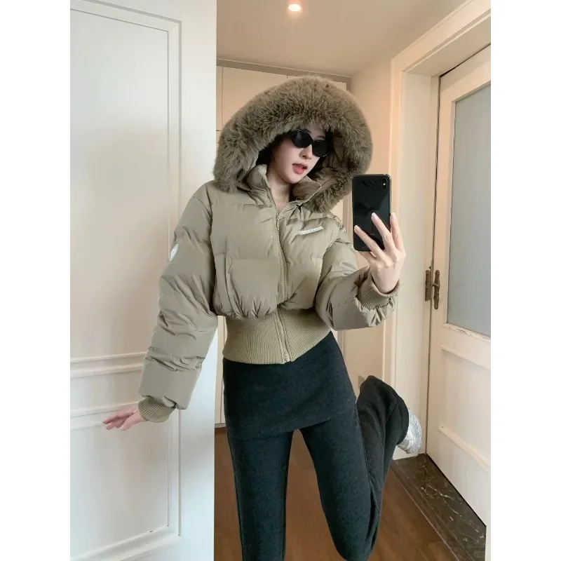 Feminino outono e inverno 2024 nova versão coreana spice girl gola de pele com capuz quente acolchoado jaqueta feminina resistência ao frio