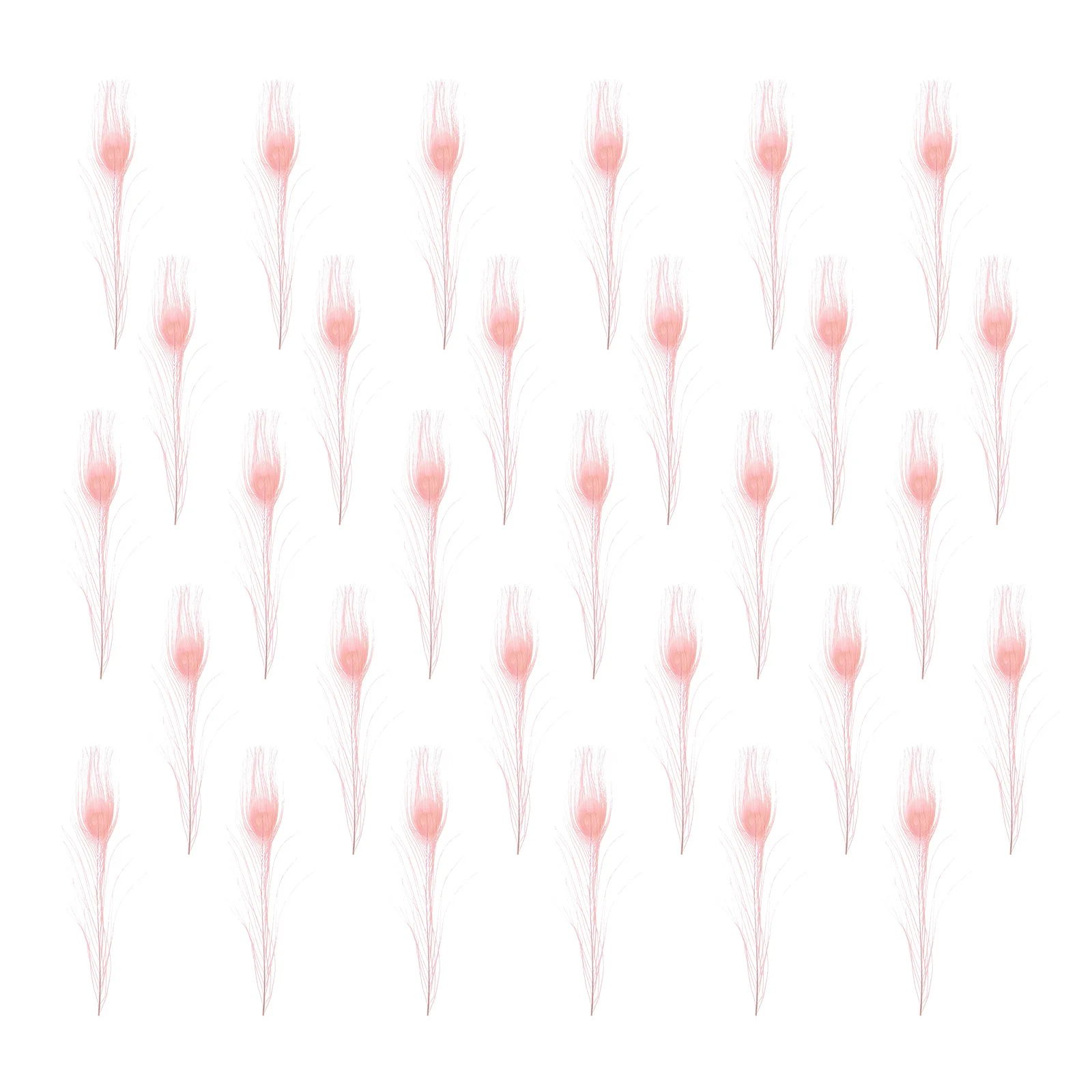 

20pcs Natural For Craft Decoration Premium Accessories Diy Hat Trims Wedding Party Home Decor Supplies