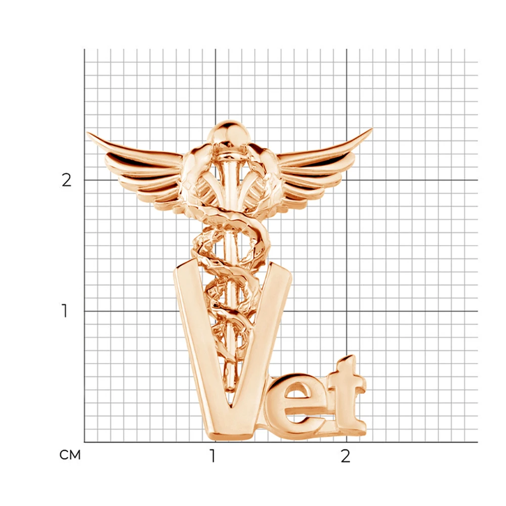 DCARZZ Medical Veterinary Caduceus Pin Creative Lapel Backpack Hat Badge Doctor Nurse Medicine Student Brooch Jewelry Gifts