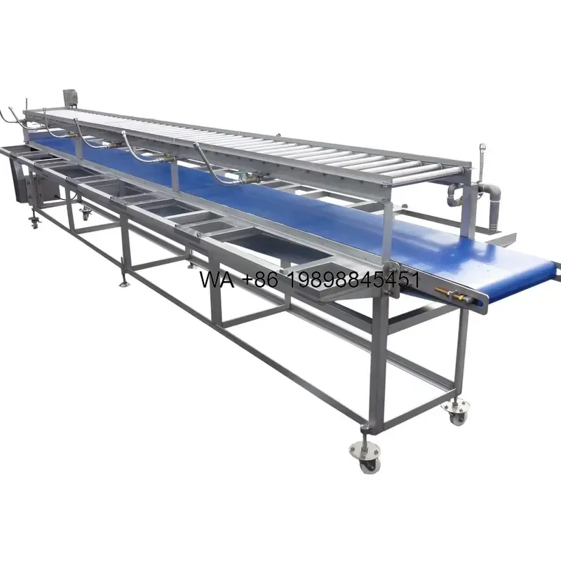 Wmwmnu Fruit Vegetable Washing Sorting Belt Conveyor With Press Roller and Spray Pipe for Manual Sorting Production Line