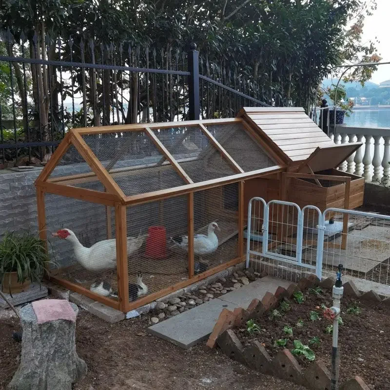 

Large household chicken coop, chicken coop, rabbit coop, kindergarten pet cage, duck cage, raised splicing pigeon cage, pet cage