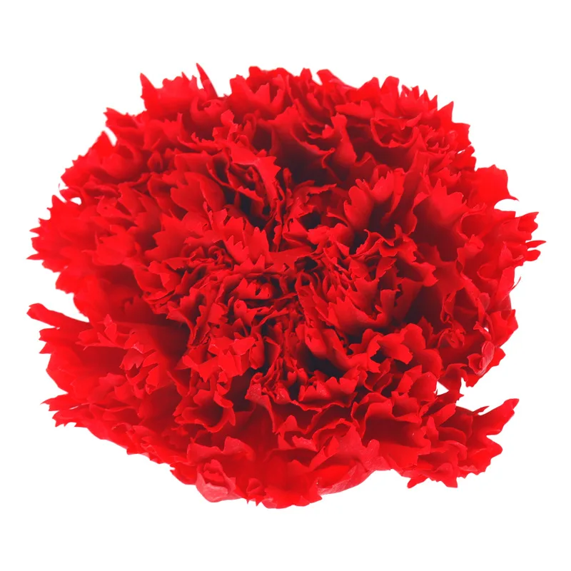 Carnation preserved flowers, 4-5cm, 8 pack, DIY, suitable for Valentine's Day, Mother's Day