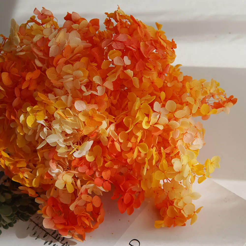 Gradient Color Preserved Hydrangea Home Decoration Wedding Decoration Small Leaf Anna Hydrangea Epoxy Handmade DIY Material