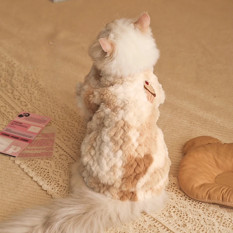 Cat Clothes Winter Anti-hair Loss Ragdoll Cat Kitten British Shorthair Pet Kitten Winter Warm Cat Autumn and Winter Clothes