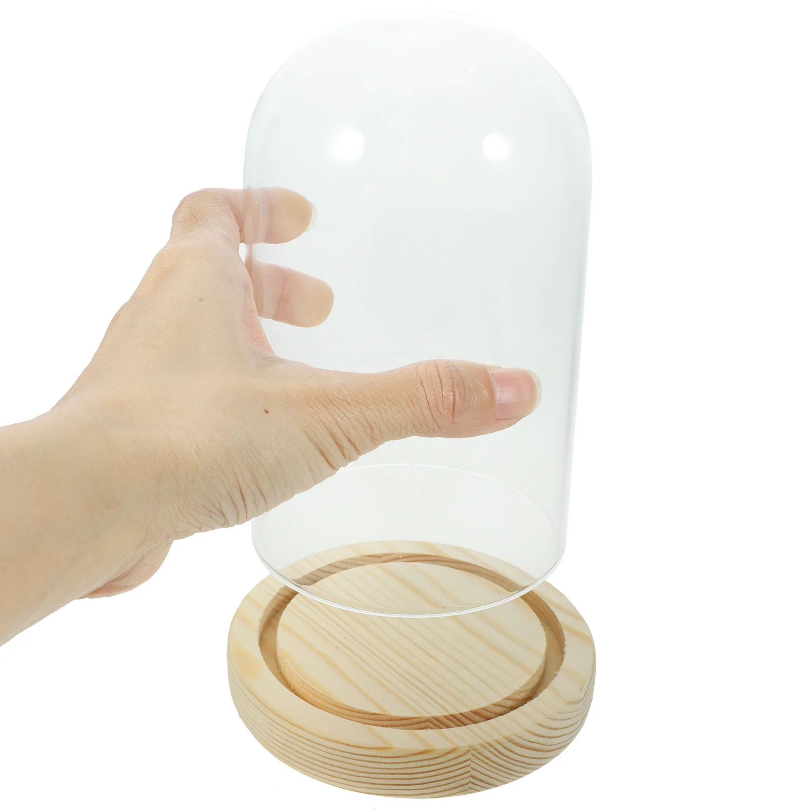 

Preserved Flowers Glass Cover Base Display Cabinet Transparent Clear Case for Figures