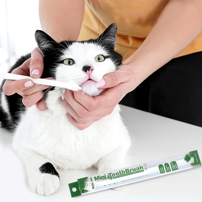 8pcs dog toothbrush pet toothbrush independent single head hard bristle brush cat teeth cleaning puppy dog teeth brushing