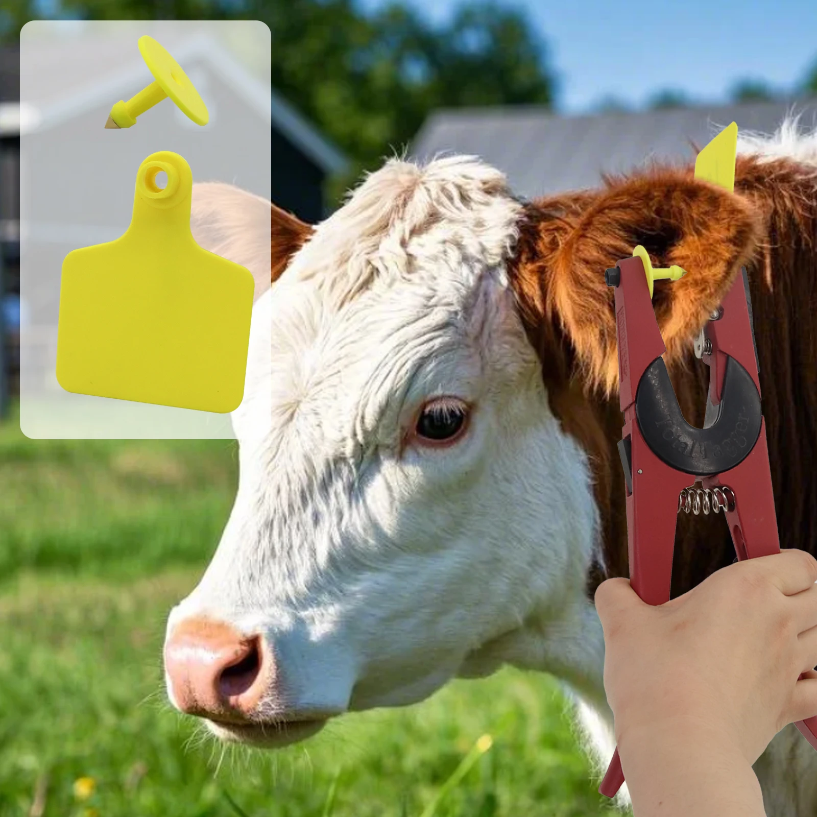 100Pcs Animal Identification Ear Tag TPU No Word Calf Ear Tag Apply to Pig Cattle Sheep Farm Livestock Feeding Tools 75mm x 60mm