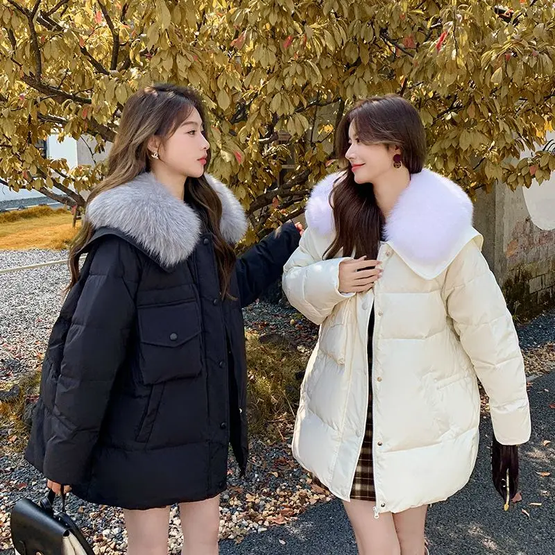 2026 Europese herfst/winter donsjack voor dames, losse vrijetijdsjas met marineblauwe kraag