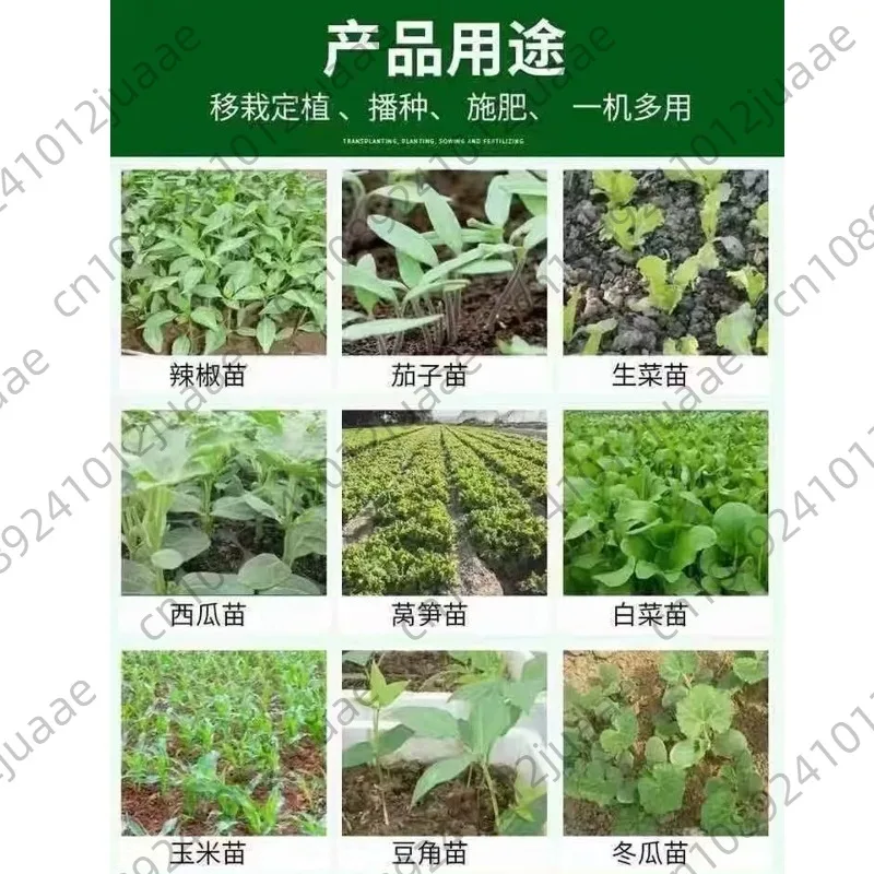 Seedling Transplanter Vegetable Agricultural Tool YoungMachine Pepper Planting Rapid Seeder Stainless Steel  Supplies Garden