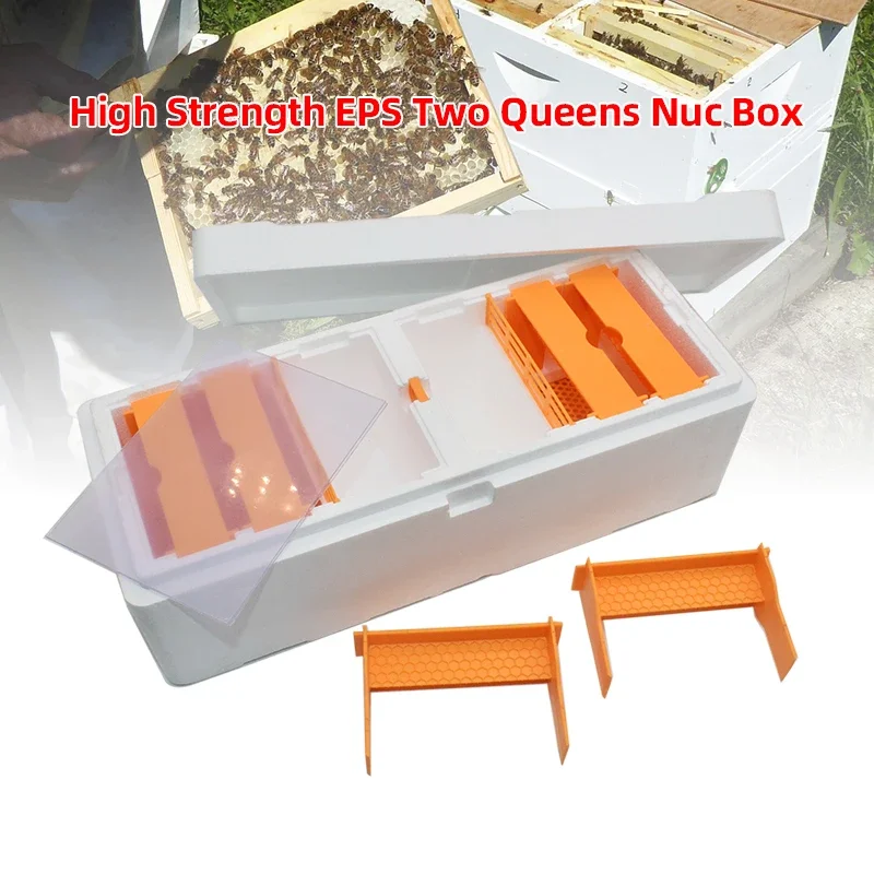 

High Strength EPS Bee Hive Mini Mating Nuc Box Beehive with Plastic Frames Beekeeping Pollination Box Beehive Equipment