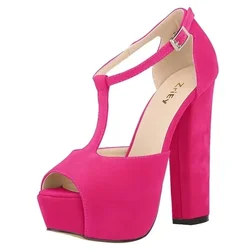 High Heels Summer Shoes for Women Ankle Strap Sandals Sexy 14cm Peep Toe High Heels Buckle Thick Platform Pumps Wedding Shoes