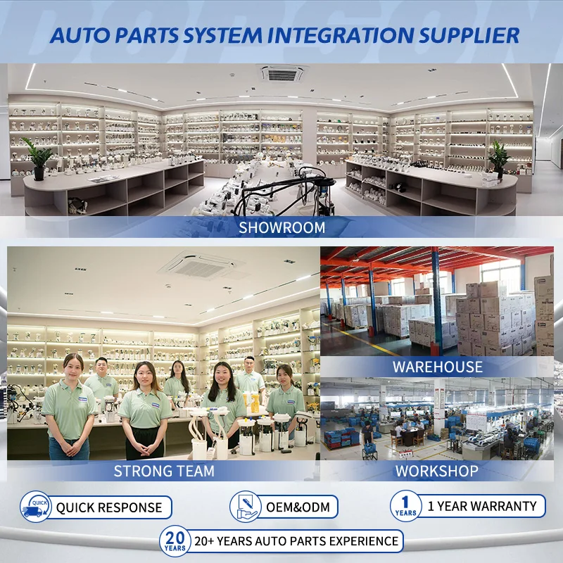 دوبسون DPS2004 مجموعة مضخة الوقود 31110-2D000 31110-08000 31110-2D030 31110-2D031 31110-2C000 1110-2D500 لشركة هيونداي إيلانتا