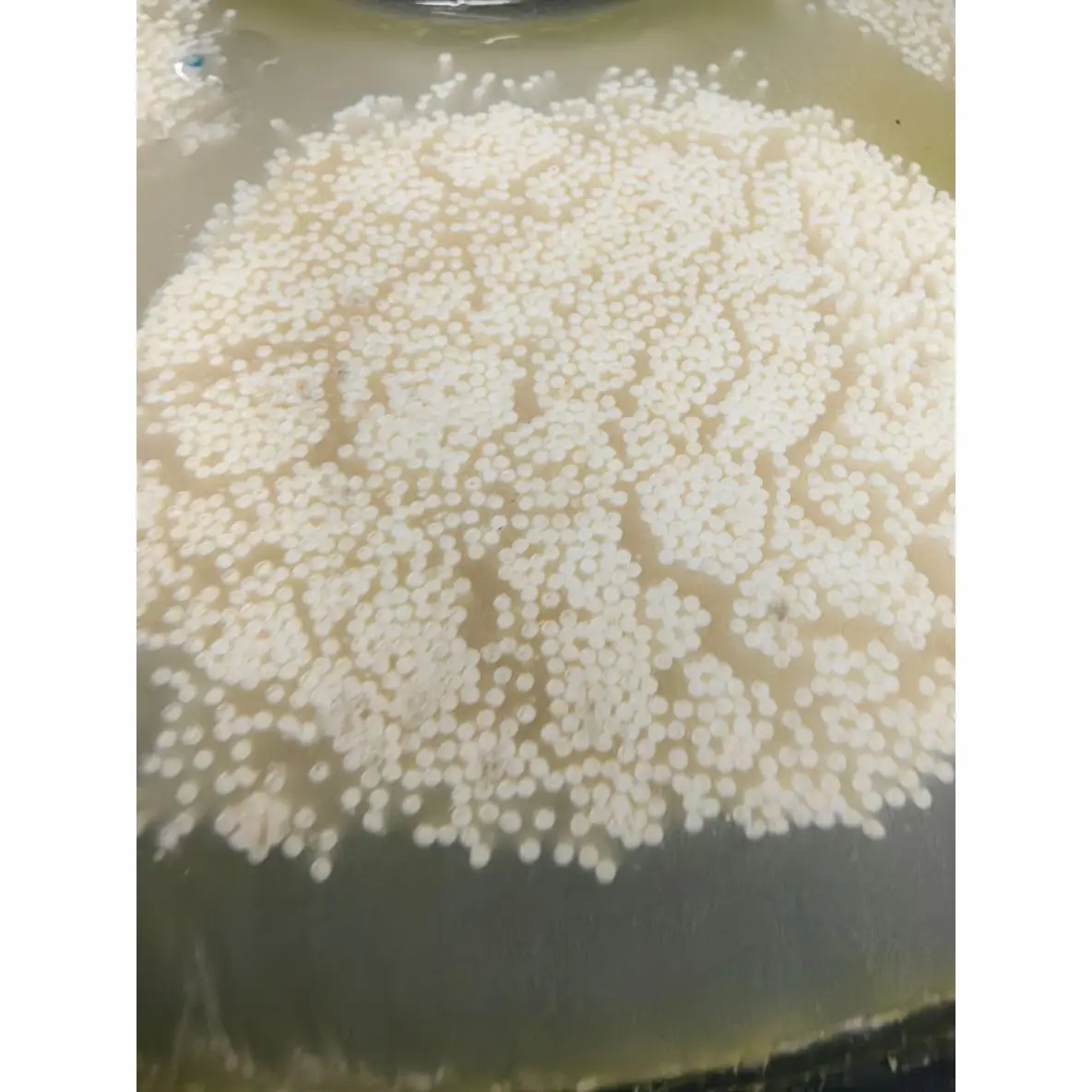 Membrana de nanofiltração de membrana de fibra oca 3040 de 4 polegadas