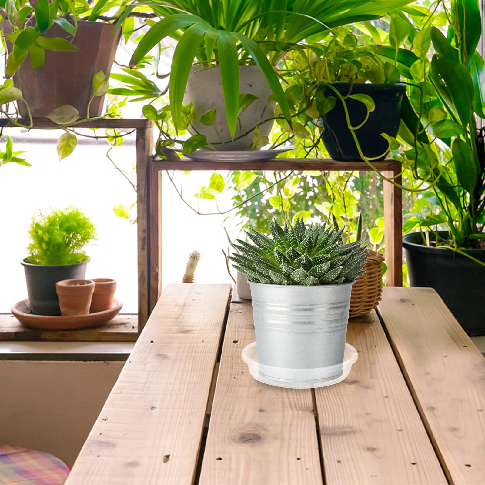 Bandeja redonda de plástico para maceta, bandejas de agua para jardín, balcón, antideslizante, resistente a los rayos UV, Bases duraderas para plantas, suministros de jardinería, 30 Uds.