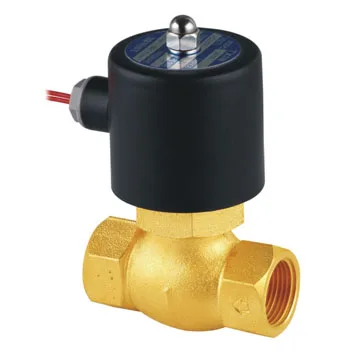 

1'' High Temperature Steam Solenoid Valve with 22mm Flow Bore AC110V VOLT 2L200-25Customizable Control Structure