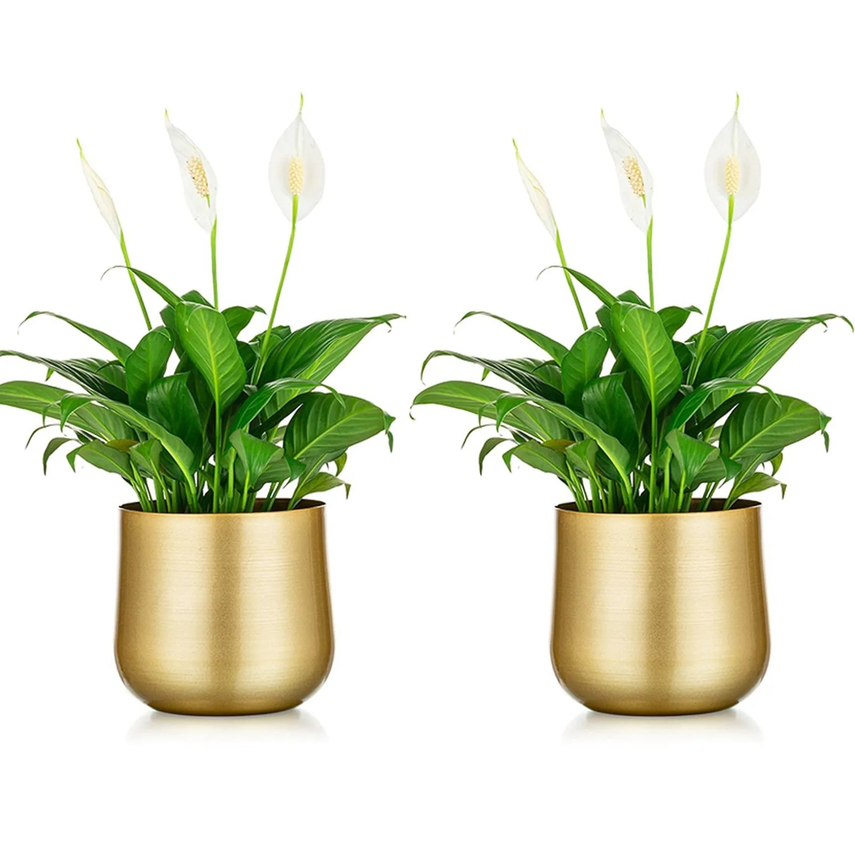 2 Pcs Flower Vases for Table Gold Vases Wedding Tabletop Planter Flower Pot with Drainage Hole for Home Decor Garden,S