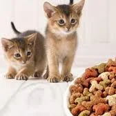 التلقائي سعة كبيرة 100 كجم/ساعة-6 طن/ساعة التلقائي بالكامل الأسماك الكلب القط آلة تجهيز أغذية الحيوانات الأليفة الطارد معدات خط النبات #6