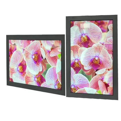 Wall Mounted 55 Inch Outdoor Waterproof TV Advertising LCD Screen Display with Android Board for Retail Shop Signage Pro