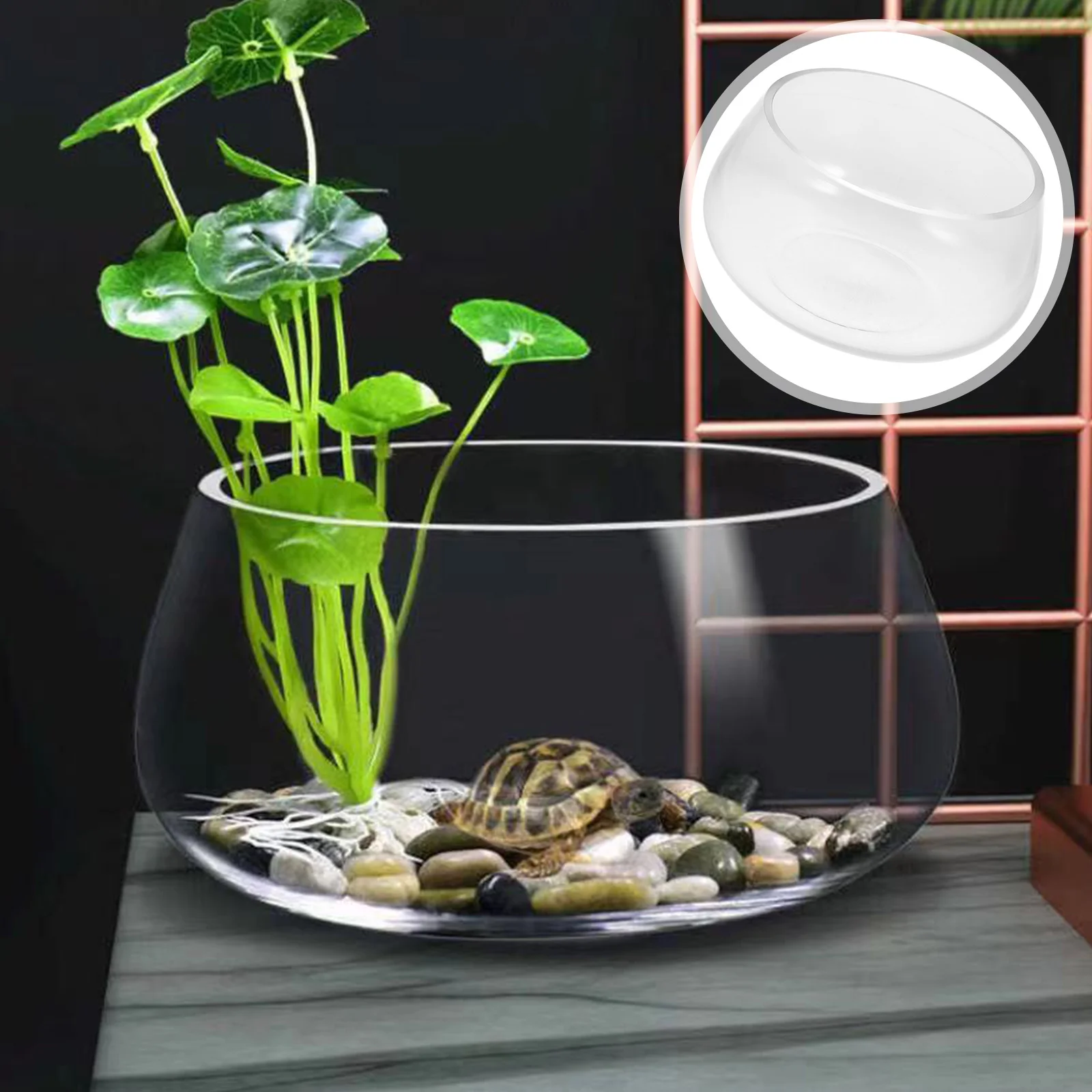 

Mini Aquarium Small Round Glass Turtle Bowl Clear Transparent Fish Bowl Desktop Plant Fish Tank Small Glass Landscape Aquarium