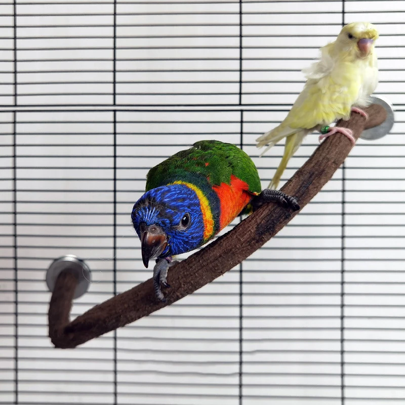 

1pc Sturdy Solid Wood Branch Stand Pole Combination for Parrots Natural Perch Rack with Unique Shape Enhances for Bird