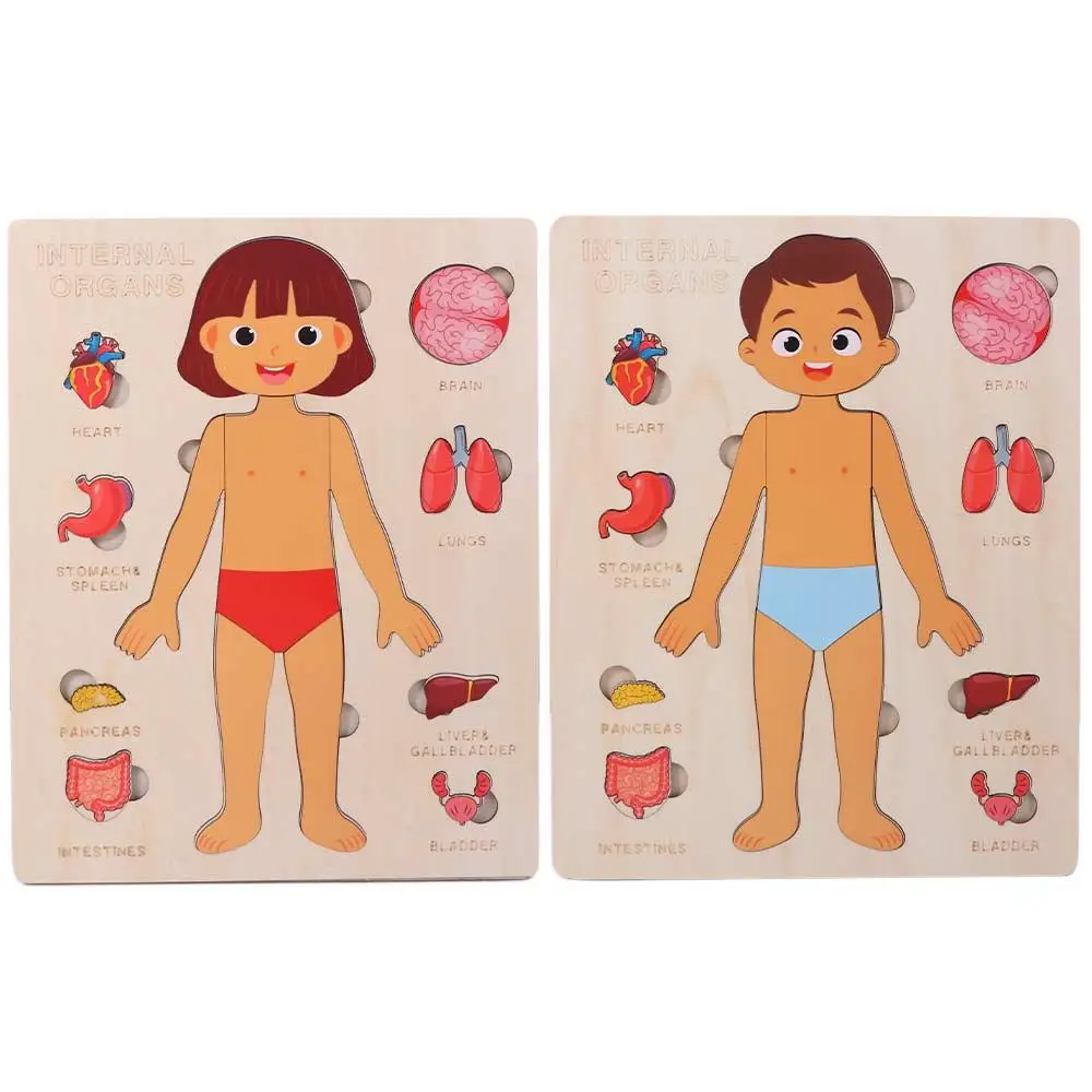Multi-Layer Wooden Human Body Puzzle Activities Busy Board Parent-child Interaction Body Structure Puzzle Boys Girls Panel