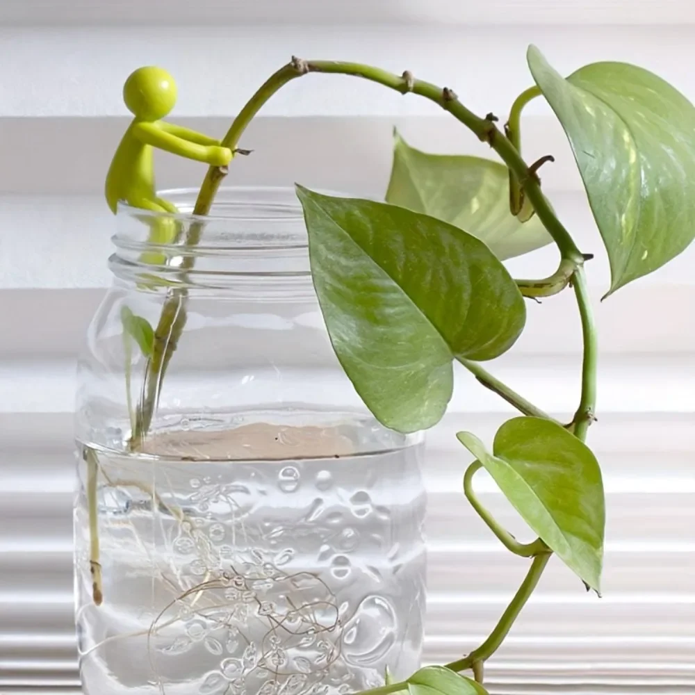 أصدقاء انتشار النباتات - ملحقات نباتية داخلية لدعم البراعم والسيقان والرماية والقطع - الحدائق الداخلية #3