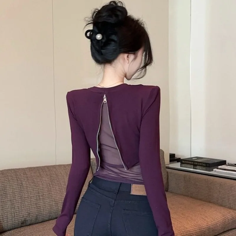 Two Fake Purple Mesh Long-sleeved T-shirts Women Autumn Winterbackless Fishbone Top Base Layer Look Extremely Beautiful Stunning