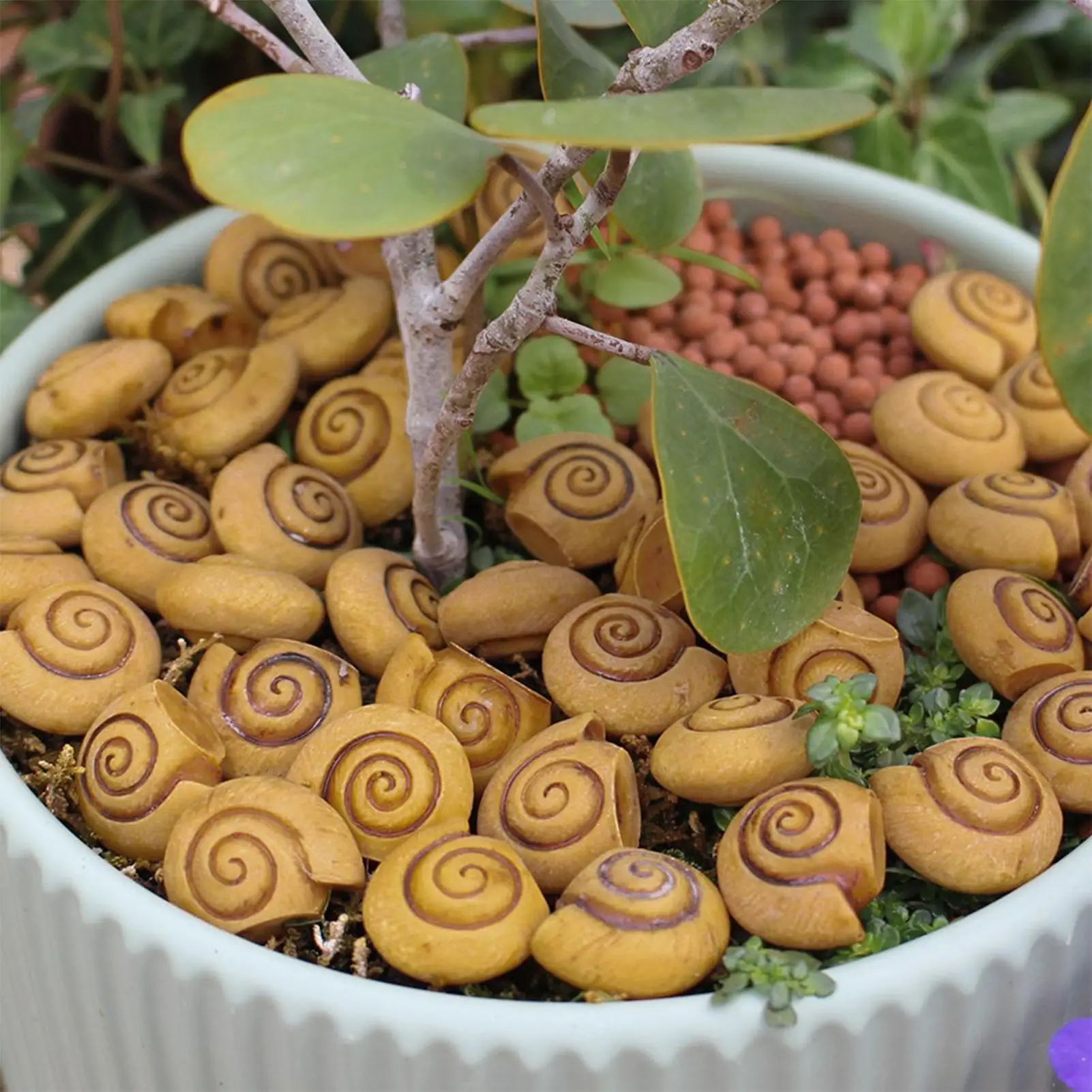 

Resin Snail Shell Statue 20 Pieces Small Snail Shell Decor Collectible Toy for Desk Pathway Driveway garden Farm Offices Patio