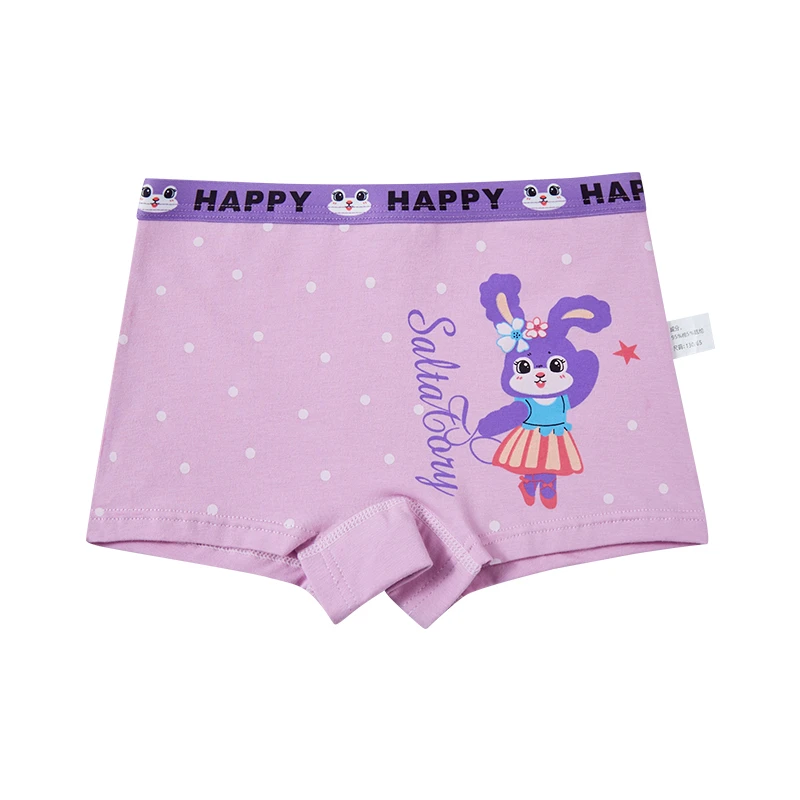 4PCS Children Girl Panties Cute Shorts Cartoon Panties for Girls Boxer Underwear Boxers Children\'s Cotton Underwears Clothing