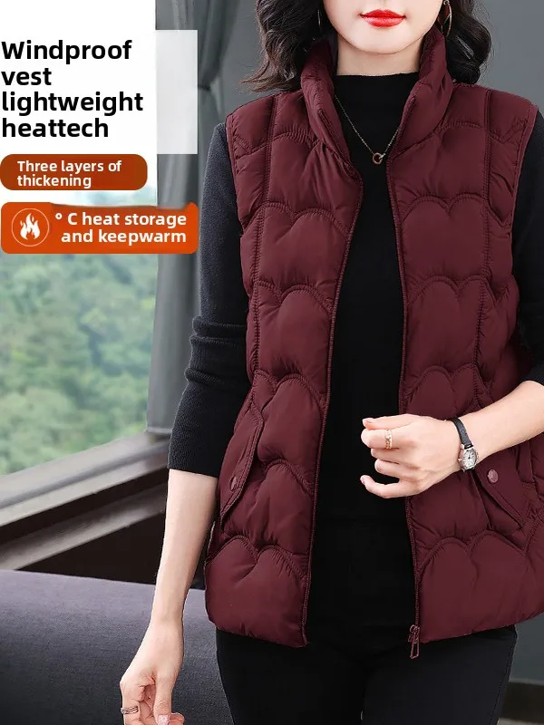 

Пуховый хлопковый жилет больших размеров, женский зимний новый свободный жилет с волнистыми подушечками, верхняя одежда, теплый жилет Jaet