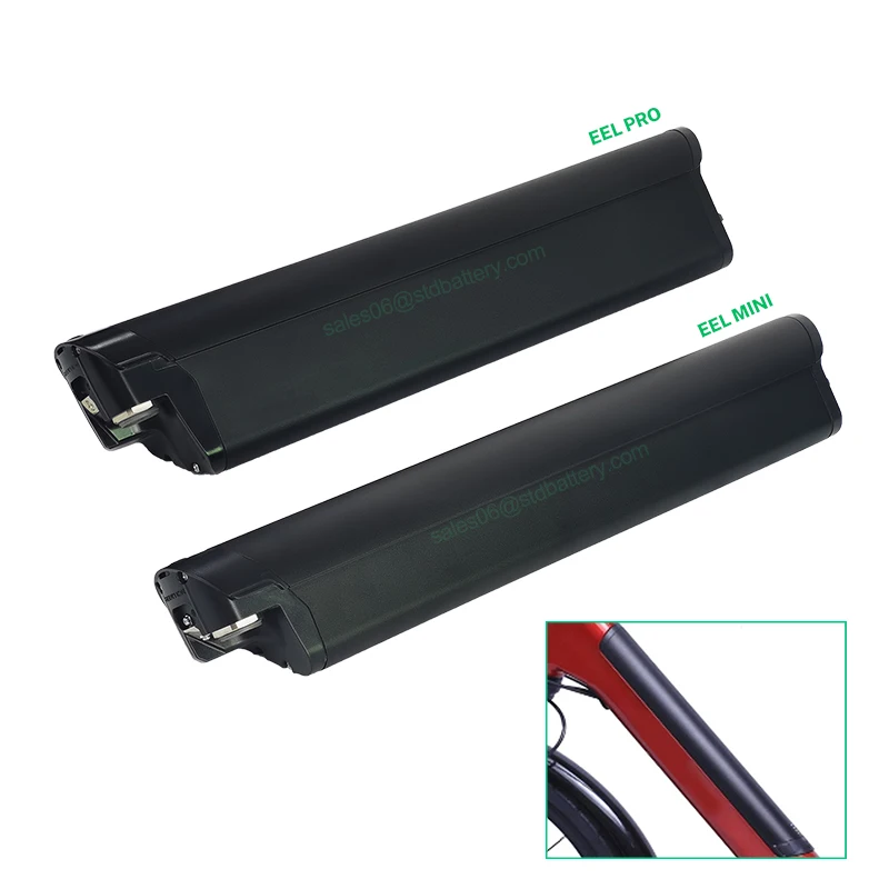 36V 48v Ebike Battery Reention EEL Mini Pro lithium ion 18650 Akku 14Ah 10.4Ah Electric Bike Batteria with charger for 350w 500w