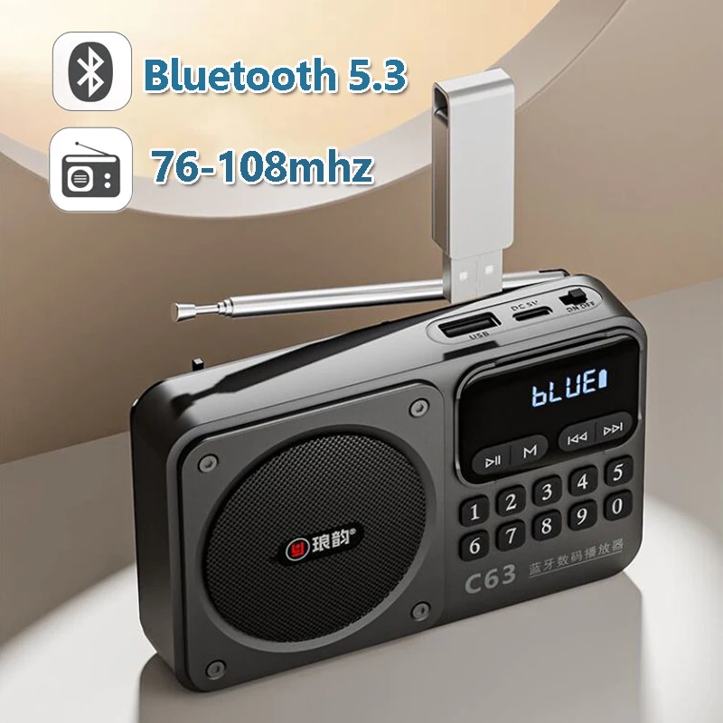 Portable LED Display Radio Mini FM 76-108MHZ Radios Wireless Hifi Sound Bluetooth Speaker Lanyard Design TF Card USB Music Playe