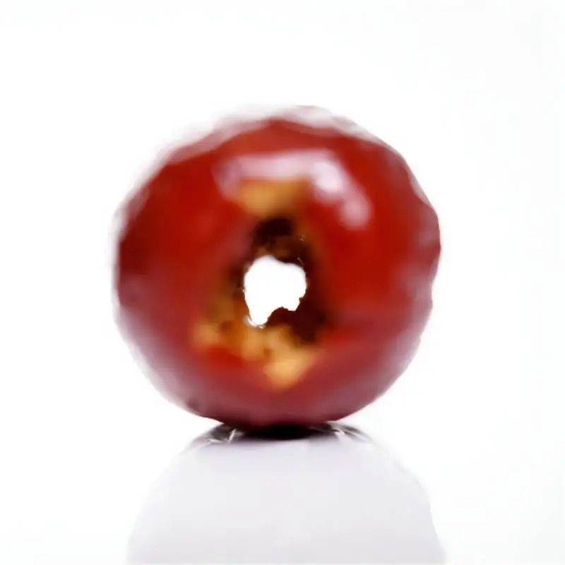 FreezePower Freeze-Dried Jujube