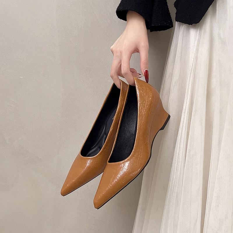 Spring's New Pointed-toe Wedge Single Shoes, Women's Comfort and High Temperament Workplace High Heels