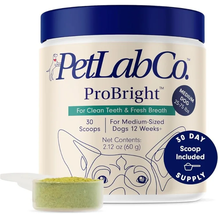 PetLab Co. ProBright Dental Powder - Dog Teeth Cleaning Made Easy – Targets Tartar & Bad Breath - Formulated for Medium Size